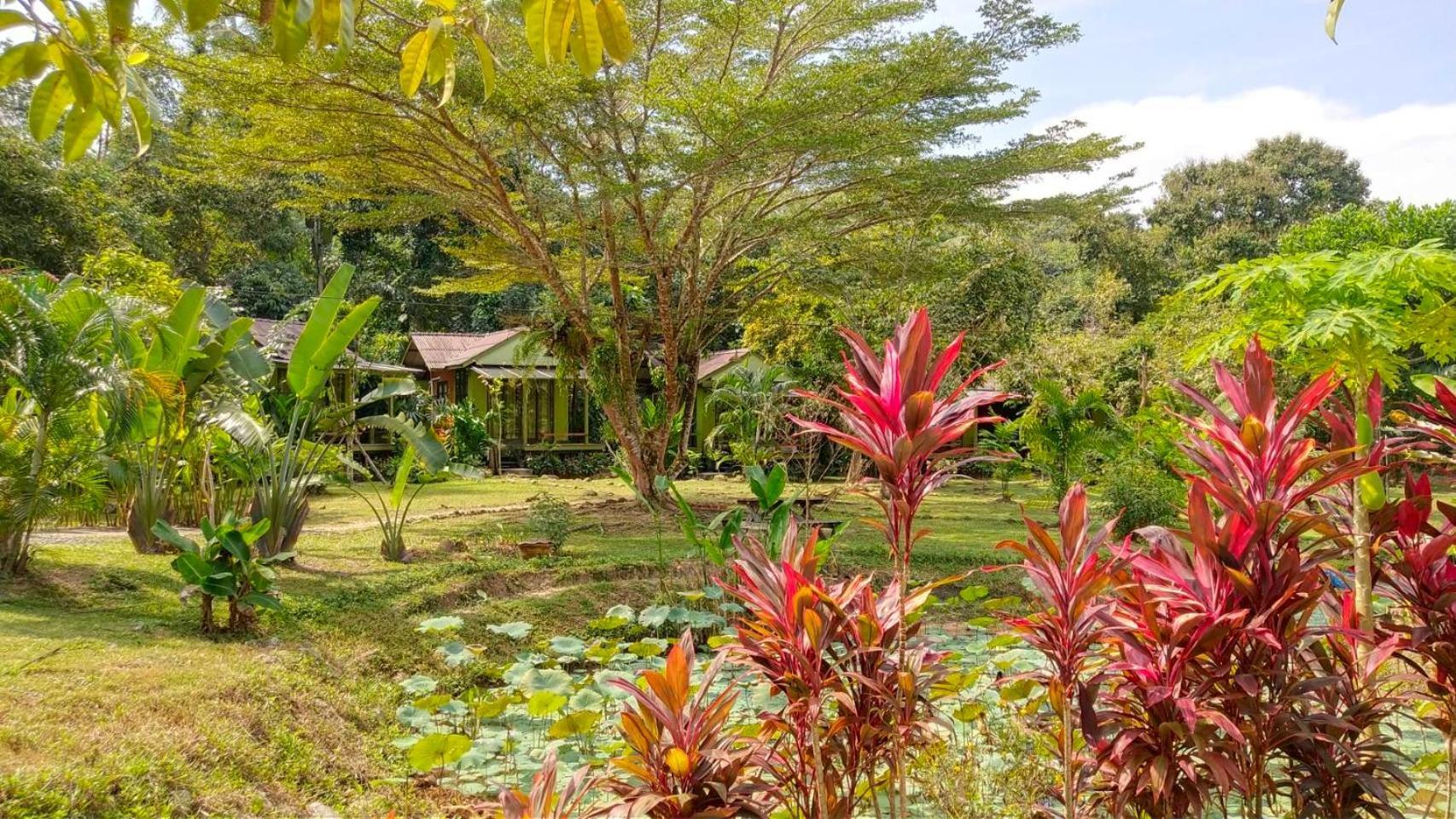Baan Bua Cottage Sha Extra Plus B5510 Ko Kut Ngoại thất bức ảnh