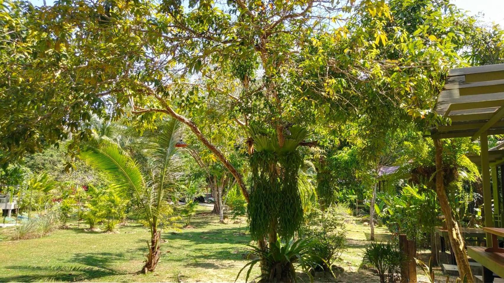 Baan Bua Cottage Sha Extra Plus B5510 Ko Kut Ngoại thất bức ảnh
